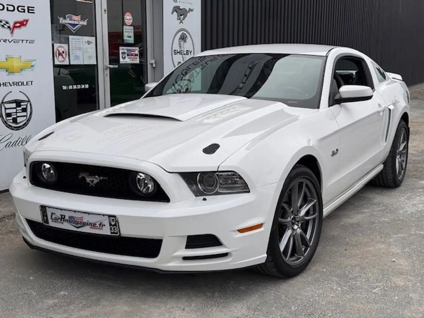 Ford Mustang GT V8 5,0L BV6 - 1