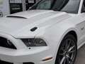 Ford Mustang GT V8 5,0L BV6 - thumbnail 3