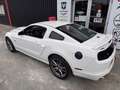 Ford Mustang GT V8 5,0L BV6 - thumbnail 8