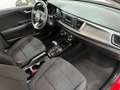 Kia Rio 1.2 Attract Automatik Rot - thumbnail 15