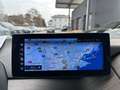 BMW i3 120Ah / Wärmepumpe / RFK / SZH / 19" Schwarz - thumbnail 20