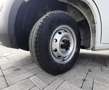 Fiat Ducato 35 2.2 140CV H1L4 CASSONE FISSO GANCIO TRAINO Blanc - thumbnail 16