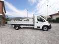 Fiat Ducato 35 2.2 140CV H1L4 CASSONE FISSO GANCIO TRAINO Blanc - thumbnail 4