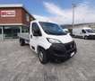 Fiat Ducato 35 2.2 140CV H1L4 CASSONE FISSO GANCIO TRAINO Blanc - thumbnail 1