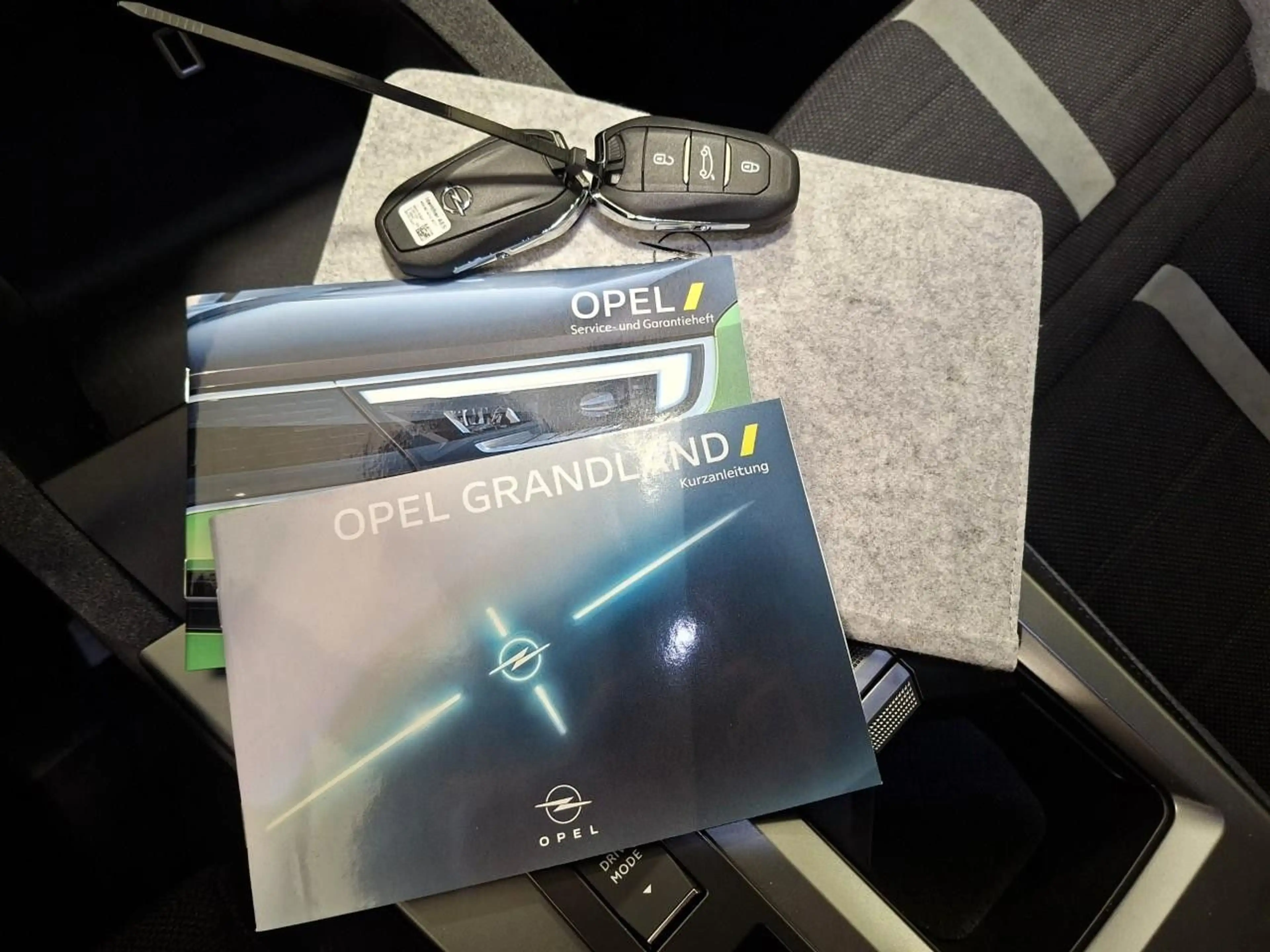 Opel Grandland X Grandland Edition Hybrid 145PS eDCT *EL.HECKKL.* — photo 14