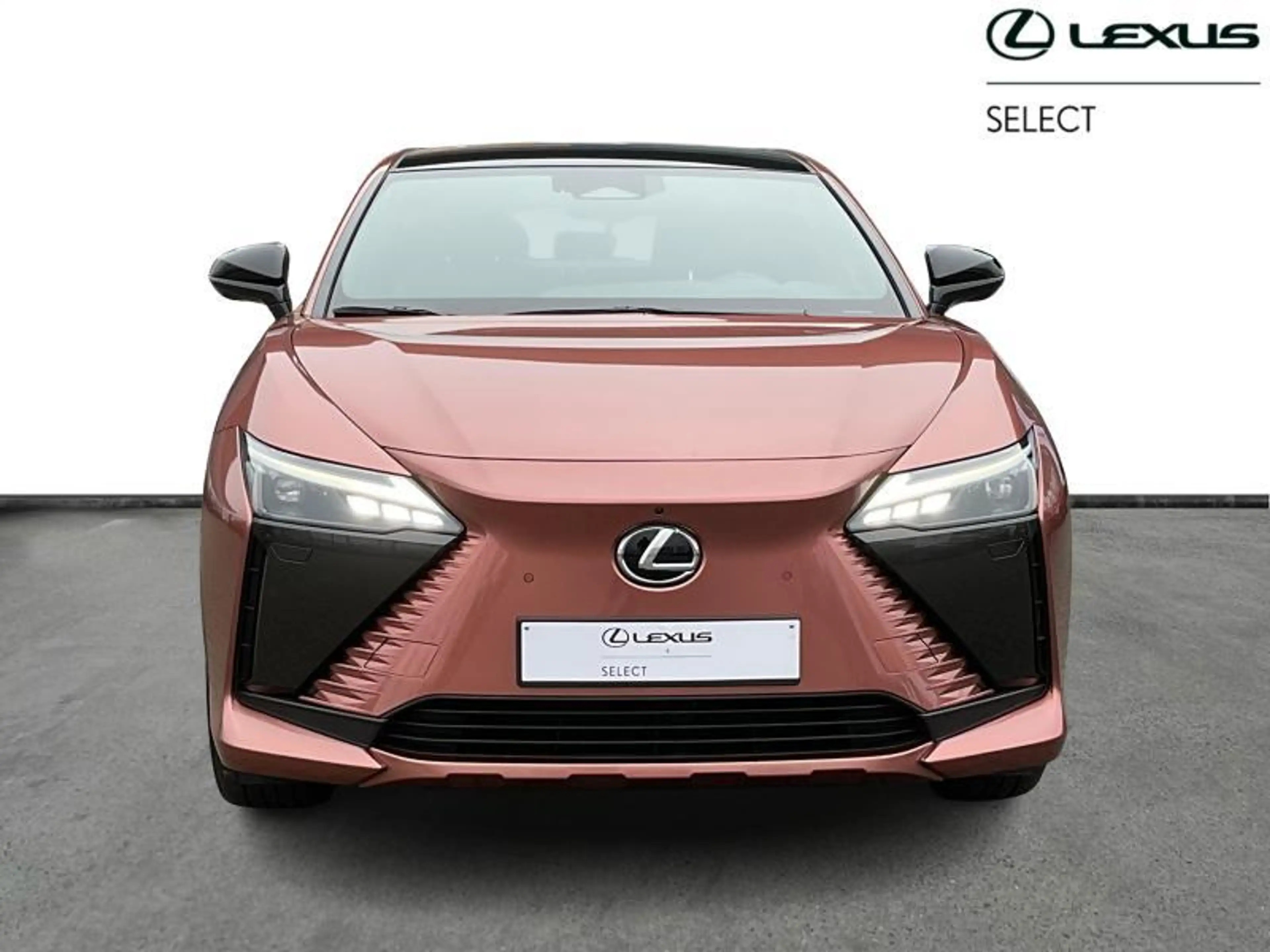 Lexus RZ 313hp EV AWD Privilege L | pano | head up | mark l — photo 5