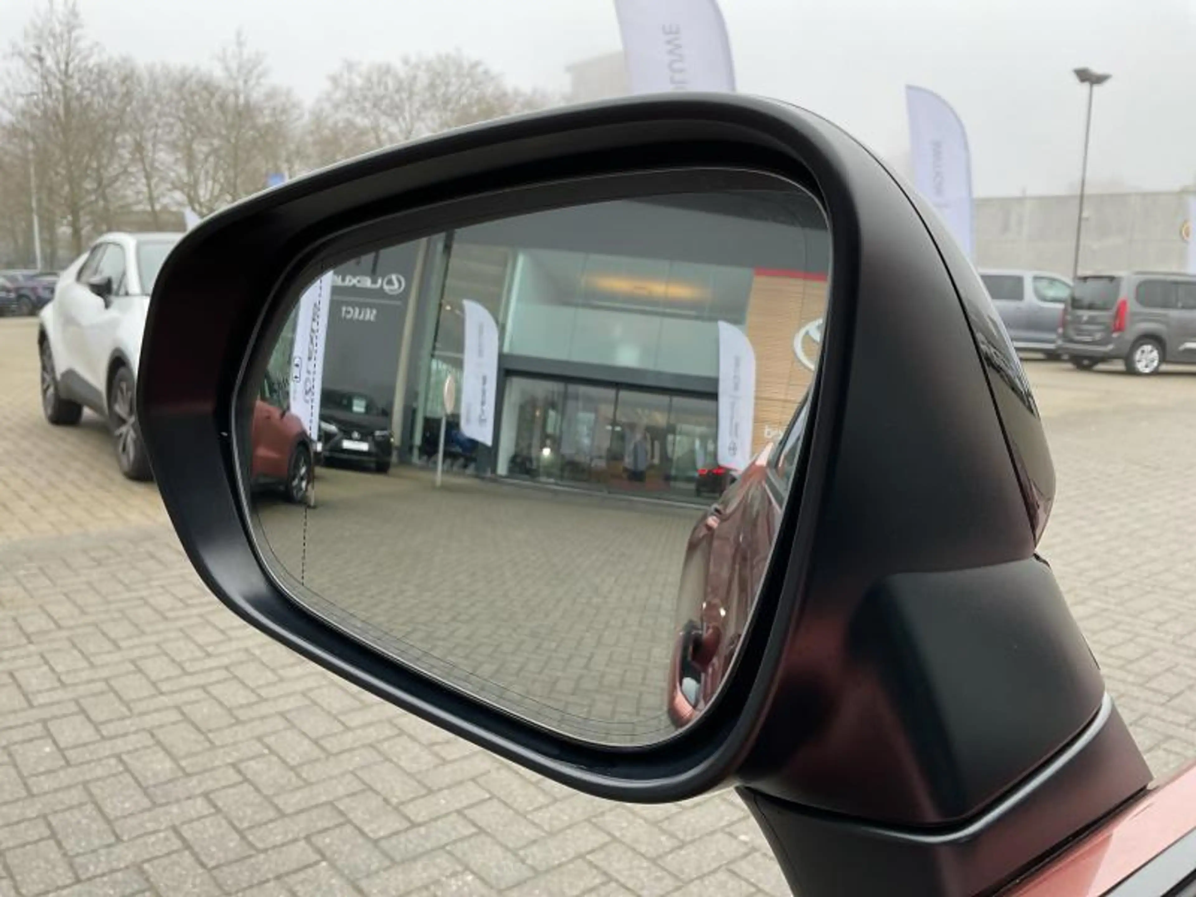 Lexus RZ 313hp EV AWD Privilege L | pano | head up | mark l — photo 24