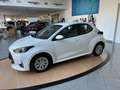 Toyota Yaris 1.0 5 porte Active Bianco - thumbnail 2
