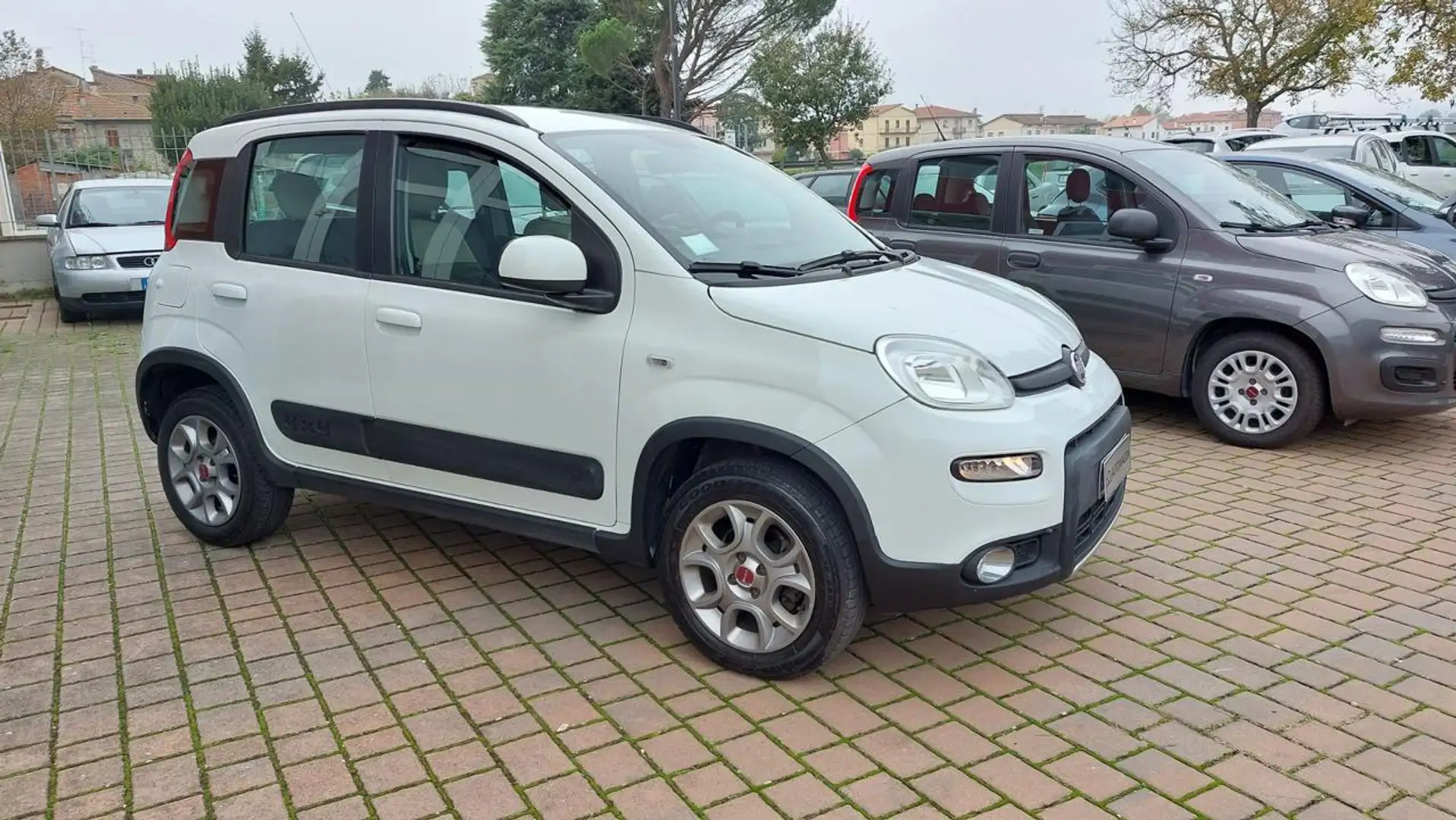 Fiat Panda 1.3 MJT 95 CV S&S 4x4  Euro 5B Blanc - 1