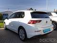 Volkswagen Golf VIII 1.5 TSI Life APP Panorama LED Sitzheizung Weiß - thumbnail 2