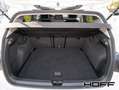 Volkswagen Golf VIII 1.5 TSI Life APP Panorama LED Sitzheizung Bianco - thumbnail 12