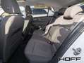 Volkswagen Golf VIII 1.5 TSI Life APP Panorama LED Sitzheizung Bianco - thumbnail 10