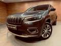 Jeep Cherokee 2.2 Overland AWD 9AT Gris - thumbnail 47