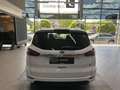 Ford S-Max 2.0 EcoBlue Business S/S 7Si LED Navi RCAM Blanco - thumbnail 6