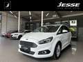 Ford S-Max 2.0 EcoBlue Business S/S 7Si LED Navi RCAM Weiß - thumbnail 1
