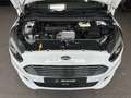 Ford S-Max 2.0 EcoBlue Business S/S 7Si LED Navi RCAM Blanco - thumbnail 16