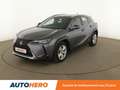 Lexus UX 250h 250h Pack Confort Business 2WD Gris - thumbnail 1