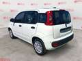 Fiat Panda Panda 1.0 FireFly S&S Hybrid Blanc - thumbnail 6