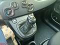 Fiat Panda Panda 1.0 FireFly S&S Hybrid Blanc - thumbnail 18