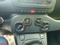 Fiat Panda Panda 1.0 FireFly S&S Hybrid Blanc - thumbnail 17