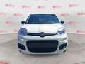 Fiat Panda Panda 1.0 FireFly S&S Hybrid Blanc - thumbnail 2