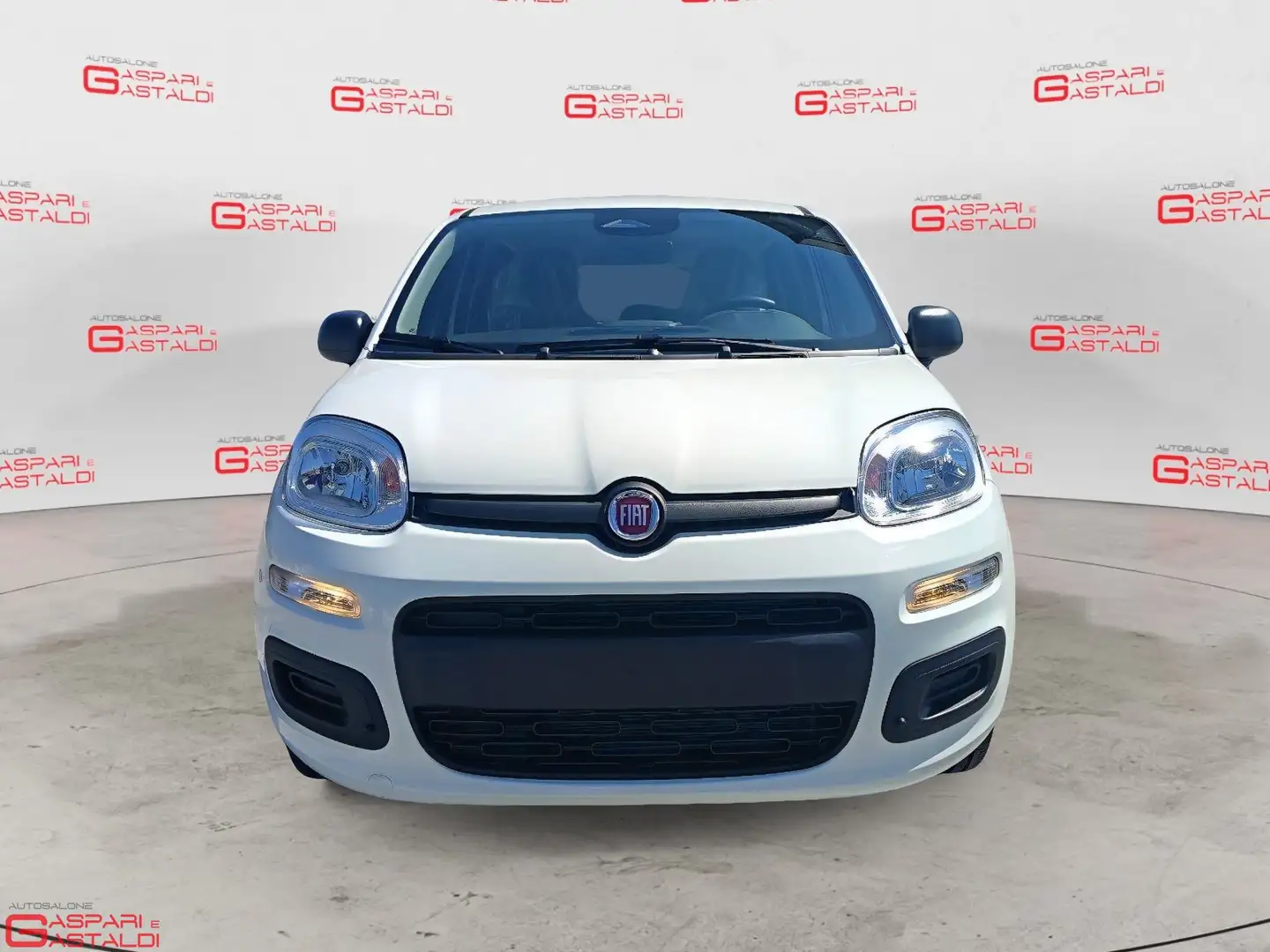 Fiat Panda Panda 1.0 FireFly S&S Hybrid Blanc - 2