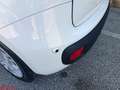 Fiat Panda Panda 1.0 FireFly S&S Hybrid Blanc - thumbnail 24