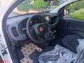 Fiat Panda Panda 1.0 FireFly S&S Hybrid Blanc - thumbnail 13