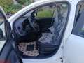 Fiat Panda Panda 1.0 FireFly S&S Hybrid Blanc - thumbnail 9