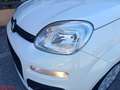 Fiat Panda Panda 1.0 FireFly S&S Hybrid Blanc - thumbnail 22
