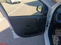 Fiat Panda Panda 1.0 FireFly S&S Hybrid Blanc - thumbnail 12