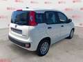 Fiat Panda Panda 1.0 FireFly S&S Hybrid Blanc - thumbnail 4