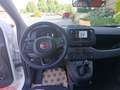 Fiat Panda Panda 1.0 FireFly S&S Hybrid Blanc - thumbnail 11
