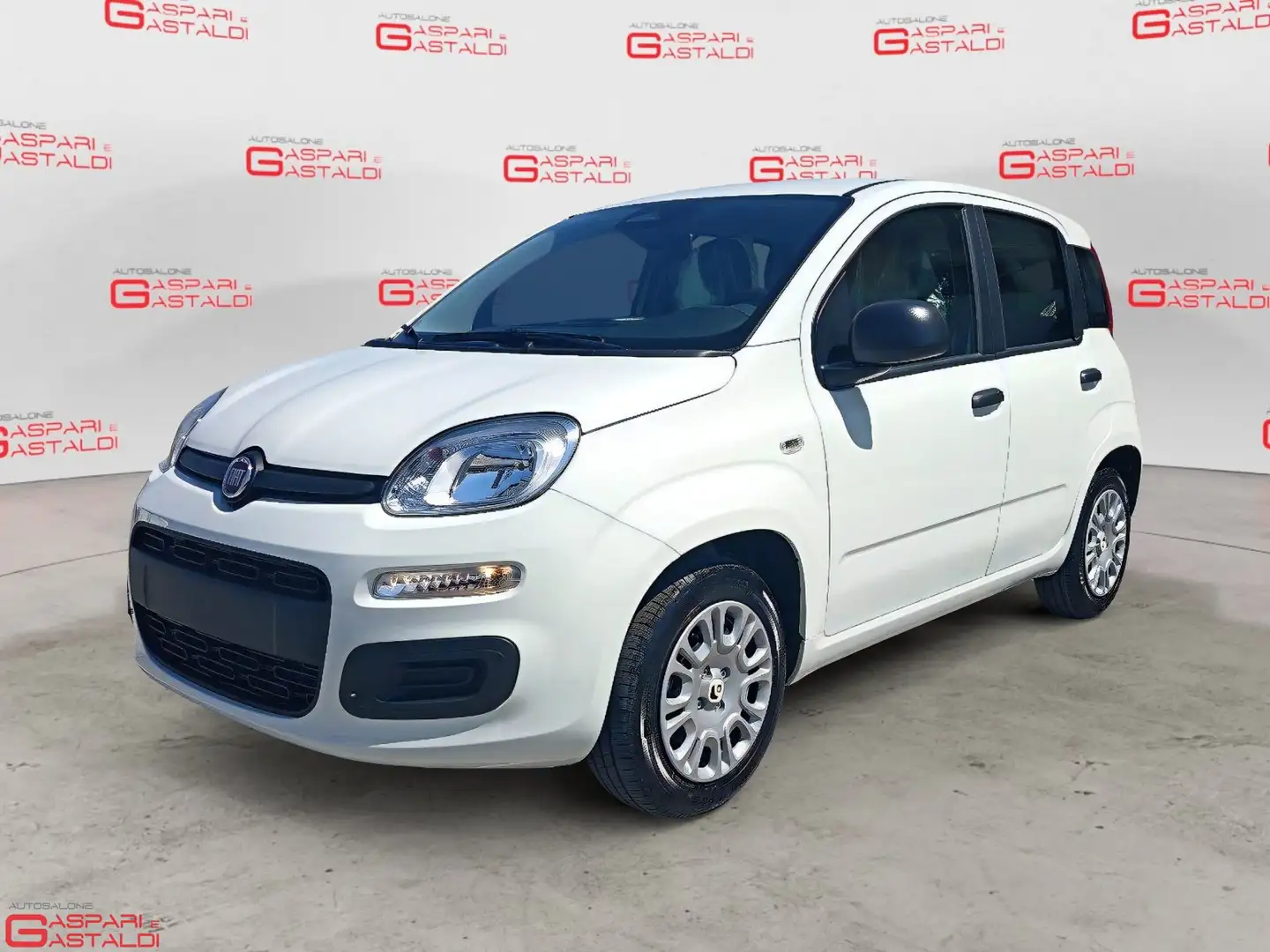 Fiat Panda Panda 1.0 FireFly S&S Hybrid Blanc - 1