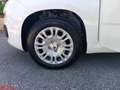 Fiat Panda Panda 1.0 FireFly S&S Hybrid Blanc - thumbnail 21