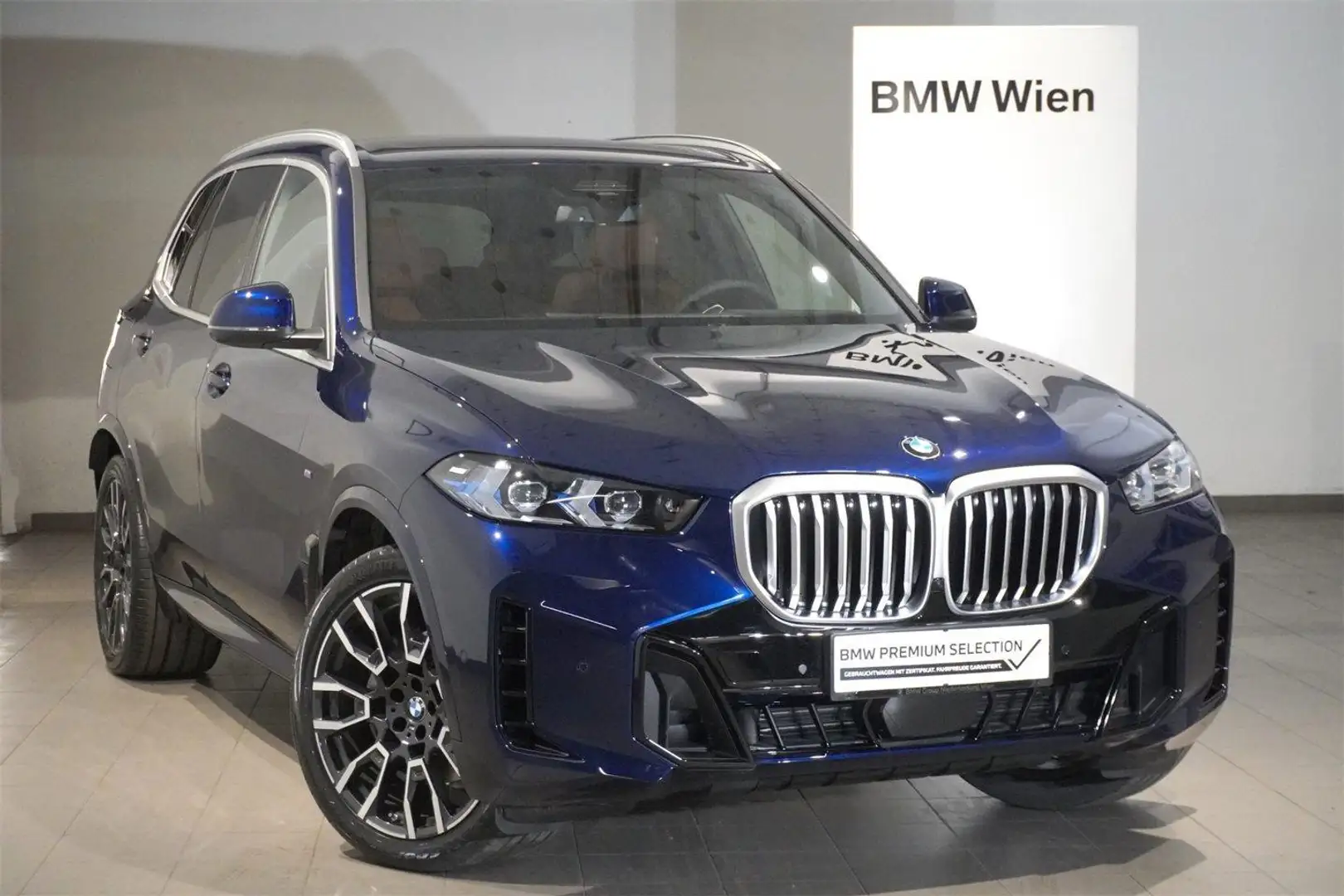BMW X5 xDrive30d Bleu - 1