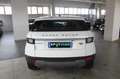 Land Rover Range Rover Evoque Range Rover Evoque 2.0 TD4 150 CV 5p. HSE Blanc - thumbnail 5