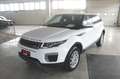 Land Rover Range Rover Evoque Range Rover Evoque 2.0 TD4 150 CV 5p. HSE Blanc - thumbnail 1