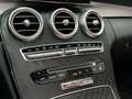 Mercedes-Benz C 250 Cabrio C250 Prestige AMG Burmester Gris - thumbnail 10