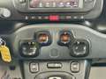 Fiat Panda Panda Cross 1.0 FireFly S&S Hybrid Rouge - thumbnail 16
