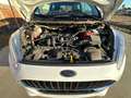 Ford Fiesta Netto:5.400Eur Klima/LED/PDC-Vo+Hi Wit - thumbnail 18