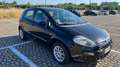 Fiat Punto Evo Punto III 2009 Evo 5p 1.3 mjt Dynamic 75cv Nero - thumbnail 9
