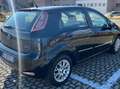 Fiat Punto Evo Punto III 2009 Evo 5p 1.3 mjt Dynamic 75cv Nero - thumbnail 14
