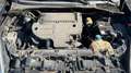 Fiat Punto Evo Punto III 2009 Evo 5p 1.3 mjt Dynamic 75cv Nero - thumbnail 5