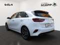 Kia Ceed / cee'd 1.5 T-GDI 140 PS DCT 7 Spirit TEC Blanc - thumbnail 4