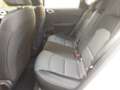 Kia Ceed / cee'd 1.5 T-GDI 140 PS DCT 7 Spirit TEC Blanc - thumbnail 10