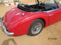 Austin-Healey 3000 Mk2 Червоний - thumbnail 6