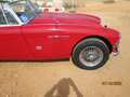 Austin-Healey 3000 Mk2 Червоний - thumbnail 8