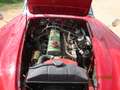 Austin-Healey 3000 Mk2 Червоний - thumbnail 14