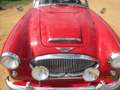 Austin-Healey 3000 Mk2 Червоний - thumbnail 10